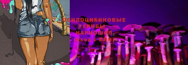амф Вяземский