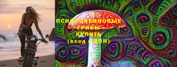 шишки Вязники