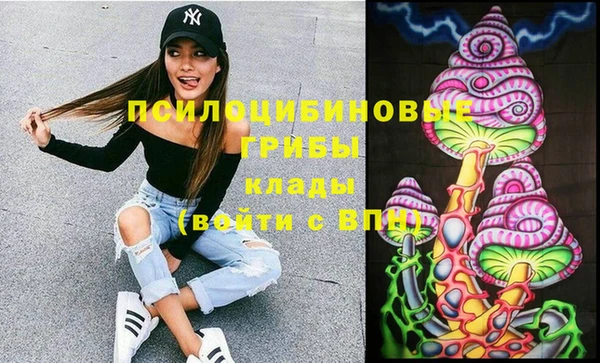 шишки Вязники