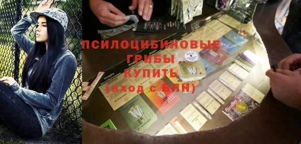 амф Вяземский