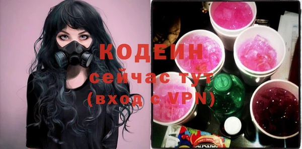 амф Вяземский