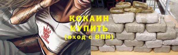 шишки Вязники