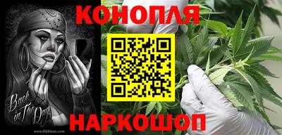 стафф Заводоуковск