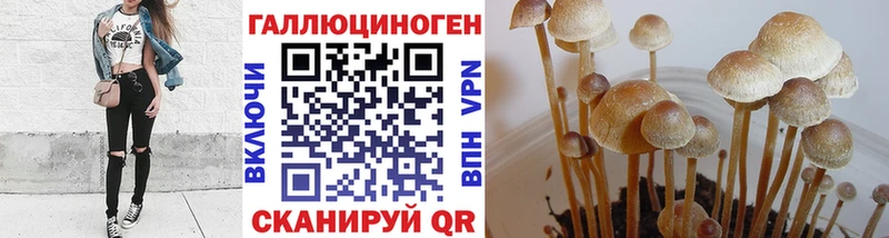 Псилоцибиновые грибы Psilocybine cubensis  сколько стоит  Муром 