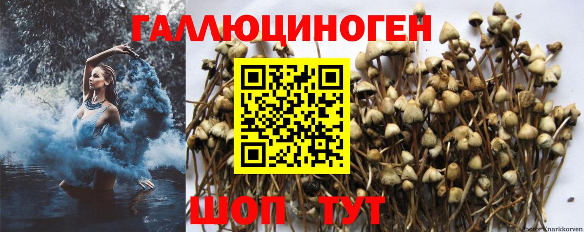 Псилоцибиновые грибы прущие грибы  Галлюциногенные грибы Psilocybine cubensis  дарнет шоп  Вход с VPN  Муром 